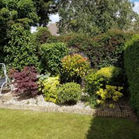 A colourful planted border beside a trimmed hedge and lawn