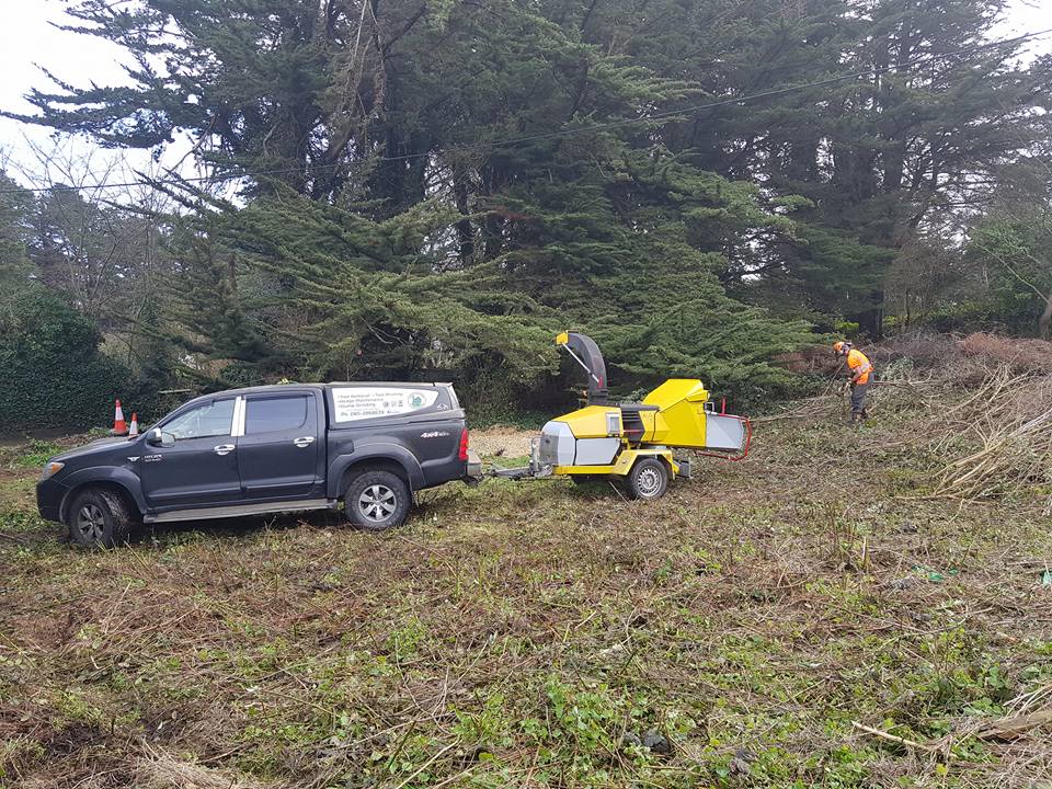 The Tower Tree team clearing an overgrown site with a truck and wood chipper