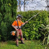 A team member trimming a hedge with a long-reach hedge cutter
