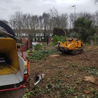 A stump grinder at work on a cleared site